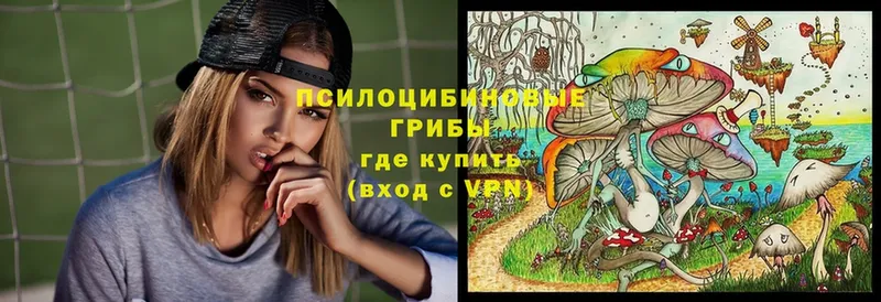 Галлюциногенные грибы Psilocybe  Орлов 